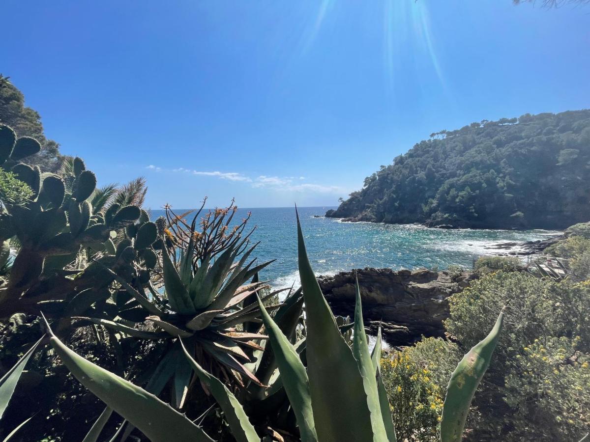 La Villa Cavalaire 外观 照片