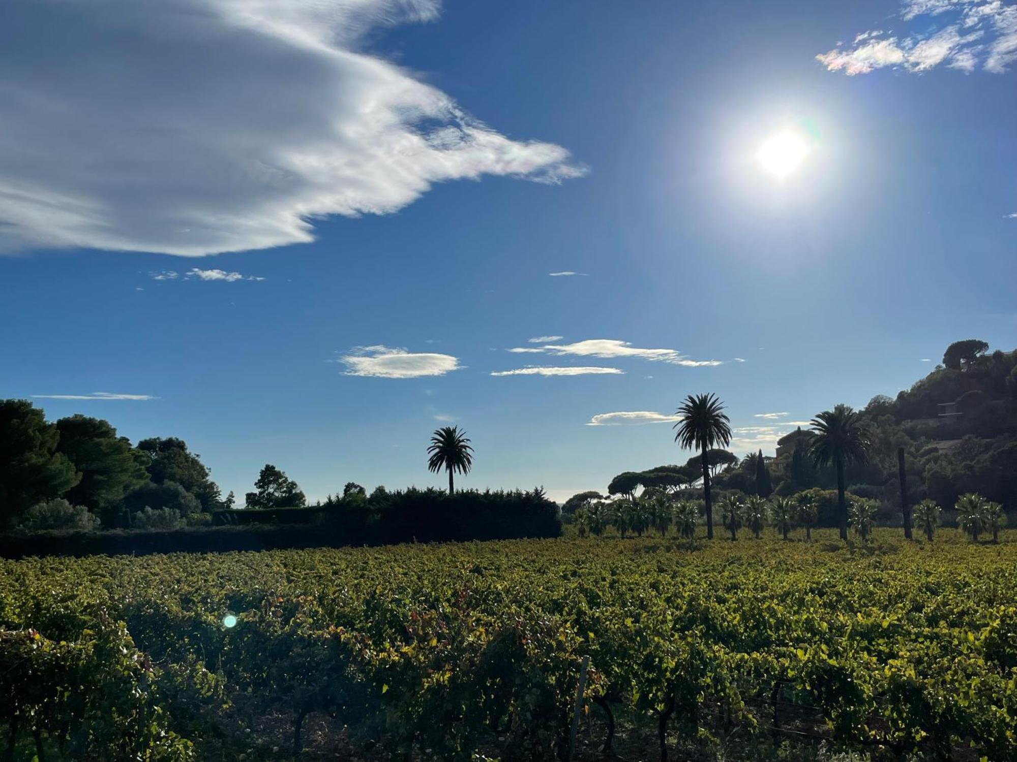 La Villa Cavalaire 外观 照片
