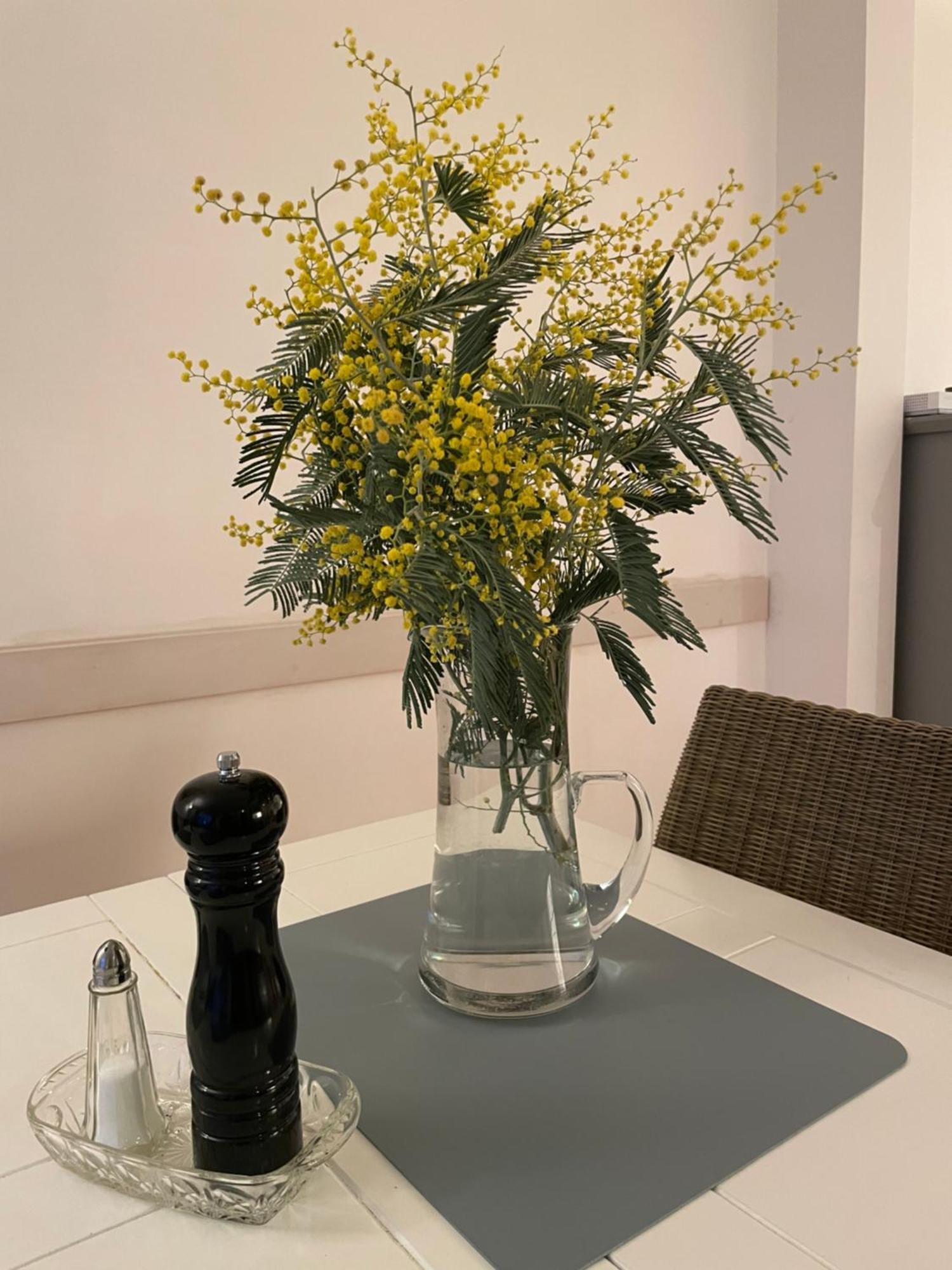 La Villa Cavalaire 外观 照片